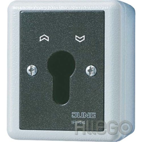 Bild: Jung Schlüsselschalter 16AX 250V 2-pol. 806.28 G