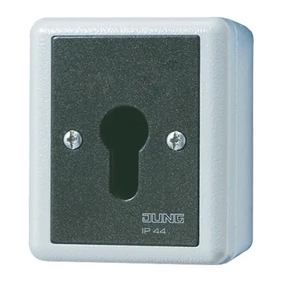 JUNG Schlüsselschalter 806.28G | 2-polig | Aus-Wechselschalter | IP44 | Alu-Druckguss | Unterputz | grau