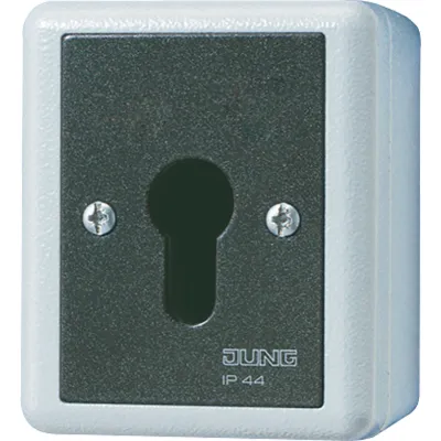 JUNG Schlüsselschalter 833.18G | Taster 1-polig Wechsler | Unterputz | Alu-Druckguss | IP44 | anthrazit metallic grau
