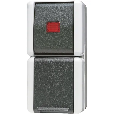 JUNG | SCHUKO Steckdosenkombination | 876KOW Aufputz | IP44 | 16A 250V | grau | Wechselschalter mit Kontrollleuchte
