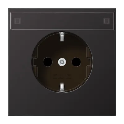 JUNG SCHUKO-Steckdose AL1520NAD | Unterputz | Aluminium matt | Schriftfeld | 16A 250V | federlose Klemmen