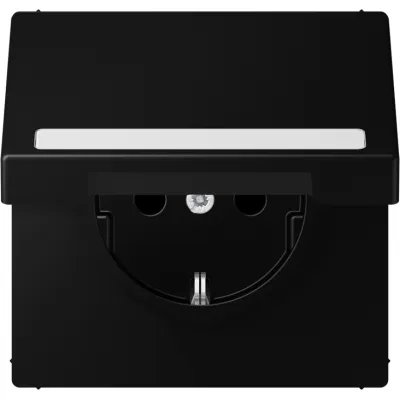 JUNG SCHUKO Steckdose LS1520BFNAKLSWM | Unterputz | Klappdeckel | Schriftfeld | IP44 | 16A 250V | graphitschwarz matt