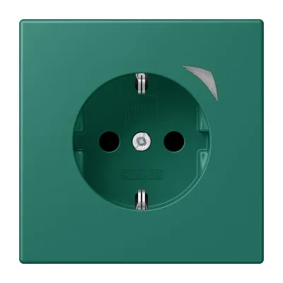JUNG SCHUKO Steckdose vert anglais (32040) BT LC 1521 S 216