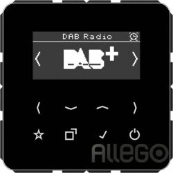 JUNG Smart DAB+ Digitalradio UKW,DAB+ DAB CD SW
