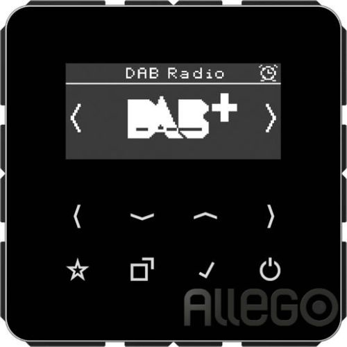 Bild: JUNG Smart DAB+ Digitalradio UKW,DAB+ DAB CD SW