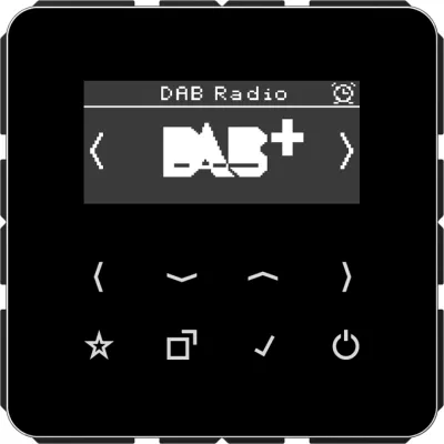 JUNG Smart DAB+ Digitalradio UKW,DAB+ DAB CD SW