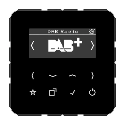 JUNG Smart DAB+ Digitalradio UKW,DAB+ DAB CD SW