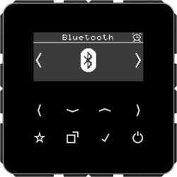 Jung Smart Radio DAB+ mit Bluetooth DABCDBTSW