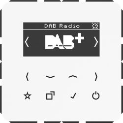 JUNG Smart Radio DABCDWW DAB+