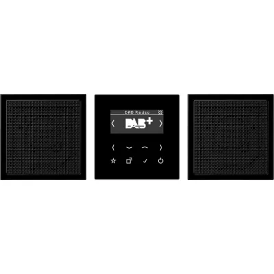 JUNG Smart Radio DABLS2SW DAB+ Stereo-Set
