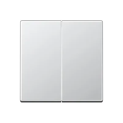 JUNG Steuertaste 2-fach Standard A1702AL | Serienschalter | Aluminium matt | Duroplast lackiert | 55x55 mm