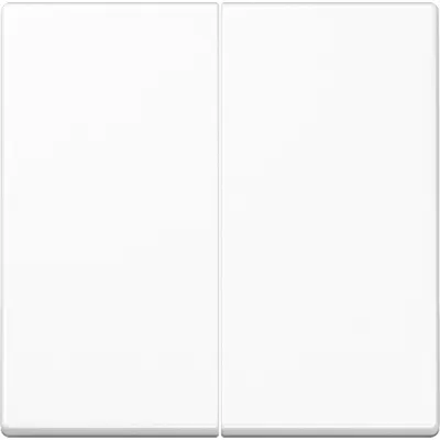 JUNG Steuertaste 2-fach Standard A1702BFWW | Schalter & Dimmer geeignet | Thermoplast glänzend | alpinweiß | 55x55 mm