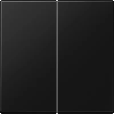 JUNG Steuertaste 2-fach Standard LS1702SWM | Schalten & Dimmen | Duroplast | matt | 70x70 mm | graphitschwarz