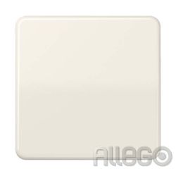 JUNG Steuertaste Standard CD1700