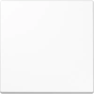 JUNG Steuertaste Standard LS1700WW | Jalousieschalter & Lichtschalter | 1-fach | Duroplast glänzend | Weiß RAL 9010