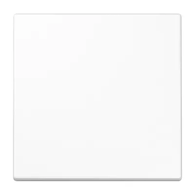 JUNG Steuertaste Standard LS1700WW | Jalousieschalter & Lichtschalter | 1-fach | Duroplast glänzend | Weiß RAL 9010