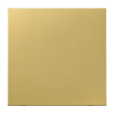 JUNG Steuertaste Standard ME1700C | Jalousieschalter UP | 1-fach | Metall matt | passend für Dimmer & Schalter | Messing