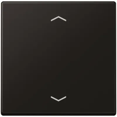 JUNG Steuertaste Standard A1700BFPSWM | Jalousie Wippe 1-fach | Symbole Pfeile | Thermoplast matt | graphitschwarz