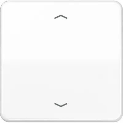 JUNG Steuertaste Standard CD1700PWW | Jalousieschalter 1-fach | Pfeilsymbole | Duroplast glänzend | weiß RAL 9010