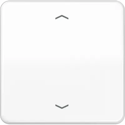JUNG Steuertaste Standard CD1700PWW | Jalousieschalter 1-fach | Pfeilsymbole | Duroplast glänzend | weiß RAL 9010