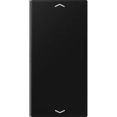 JUNG Taste 2-fach graphitschwarz matt LS 402 TSAP SWM