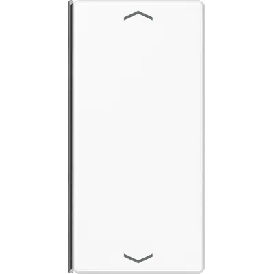 Jung Taste 2-fach A402TSAPWW | Wippe Auf/Ab Symbol Pfeile | Kunststoff Thermoplast | glänzend | alpinweiß RAL 9010