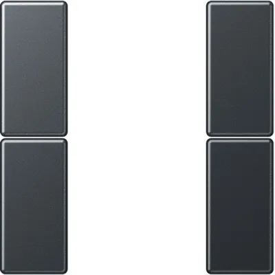 JUNG Tastensatz 2fach komplett A502TSAANM | Tastsensor-Modul Serie A/AS | Kunststoff Thermoplast | anthrazit matt