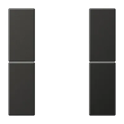 JUNG Tastensatz 2fach komplett AL2502TSAAN | Schalterwippe für LS Serie | Aluminium matt lackiert | anthrazit