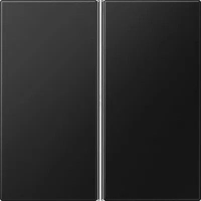 JUNG Tastensatz 2-fach LS402TSASWM | Wippe für F40-Module | Bussystem geeignet | Thermoplast matt | graphitschwarz