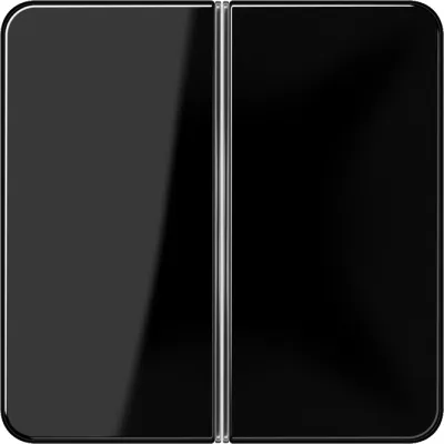 JUNG Tastensatz 2-fach CD402TSASW | Aufklipsen für Tastsensor-Modul | Thermoplast glänzend | schwarz RAL 9005