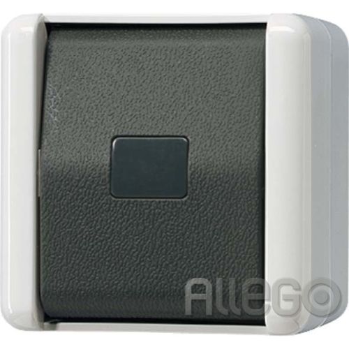 Bild: Jung Taster 10AX 250V 1-pol. Schließer 831 W