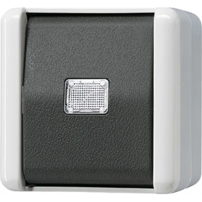 Jung Taster Aufputz 831W WG800 | 1-polig Schließer | Wippe beleuchtbar | IP44 | Thermoplast | grau RAL7035