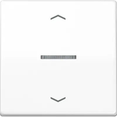 JUNG HOME Taster 1fach BT A 17101 BF P WW | smarter Funklichtschalter | Bluetooth | Alexa & Google | LED | alpinweiß