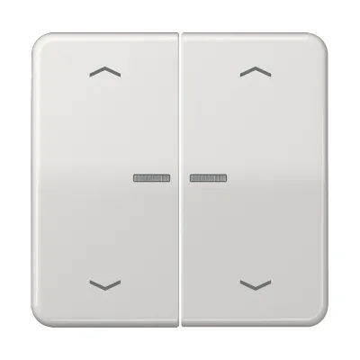 JUNG HOME Taster 2fach BT CD 17102 P LG | Funk-Bedienelement Jalousie & Licht | LED-Anzeige | Bluetooth | lichtgrau