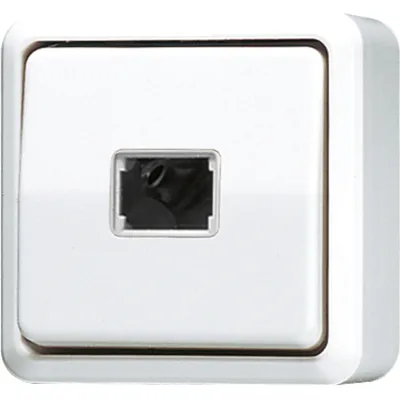 JUNG Taster 631AWW 1-polig Schließer | Wipptaster Aufputz | mit Beleuchtung | Duroplast glänzend | alpinweiß