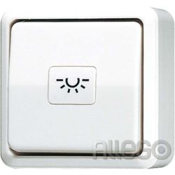 Jung Taster ohne Symbole ws 1-pol. Schließer 631 A