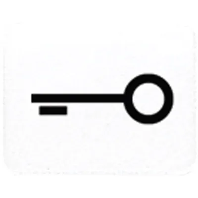 JUNG Symbol Tür 33TWW | Schalter-Symbol für CD 500, WG 600, AP 600 | alpinweiß | Symbol Schlüssel/Tür | RAL 9010