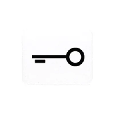JUNG Symbol Tür 33TWW | Schalter-Symbol für CD 500, WG 600, AP 600 | alpinweiß | Symbol Schlüssel/Tür | RAL 9010