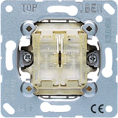 Jung Tastschalter 10AX 250V Doppel Wechsel 509 TU