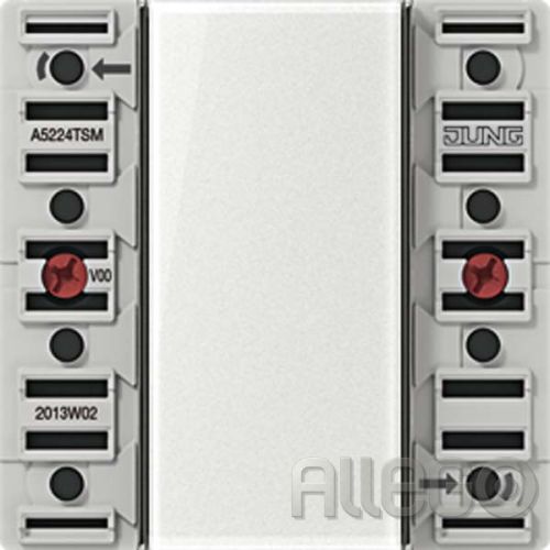 Bild: Jung Tastsensor-Modul 2fach AC/DC24V 2-k. 4Sp. A 5224 TSM