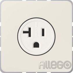 Jung US-NEMA-Steckdose CD521-20 Jung US-NEMA-Steckdose CD521-20