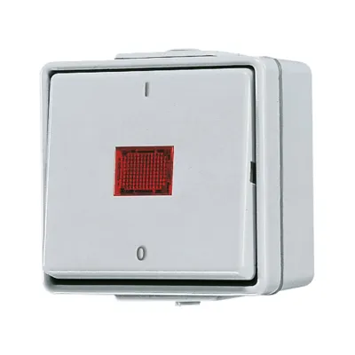 Jung Wipp-Kontrollschalter 602KOW | 2-polig | Aufputz | Kontrollleuchte Glimmlampe | IP44 | grau | Duroplast