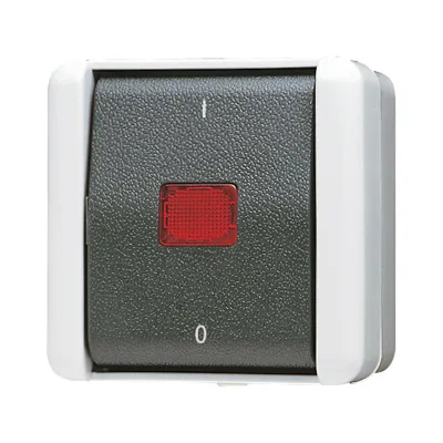 JUNG Wipp-Kontrollschalter 802KOW | 2-polig | Aufputz | IP44 | Kontrollschalter mit Glimmlampe | grau/anthrazit