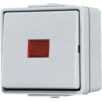 Jung Wipp-Kontrollschalter 606KOW | Wechselschalter WG600 | Aufputz IP44 | Glimmlampe | 10AX 250V | grau
