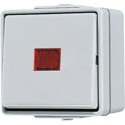 Jung Wipp-Kontrollschalter 606KOW | Wechselschalter WG600 | Aufputz IP44 | Glimmlampe | 10AX 250V | grau