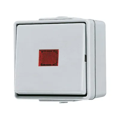 Jung Wipp-Kontrollschalter 606KOW | Wechselschalter WG600 | Aufputz IP44 | Glimmlampe | 10AX 250V | grau