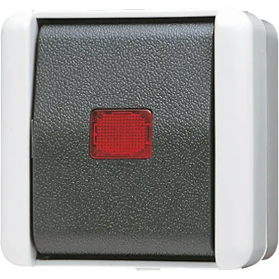JUNG Wipp-Kontrollschalter 806KOW | Wechselschalter IP44 | Aufputz | Glimmlampe | Thermoplast | grau RAL 7035