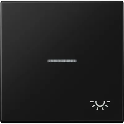 JUNG Wippe 1-fach LS 990 KO5 L SWM | Kontrollschalter | Lichtsymbol | Duroplast matt | graphitschwarz | 70x70 mm