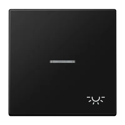 JUNG Wippe 1-fach LS 990 KO5 L SWM | Kontrollschalter | Lichtsymbol | Duroplast matt | graphitschwarz | 70x70 mm