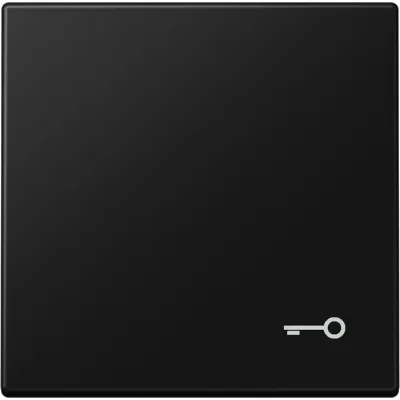 JUNG Wippe LS 990 T SWM | Tasterabdeckung mit Symbol Tür | 1-fach | Duroplast matt | 70x70 mm | graphitschwarz
